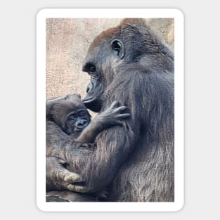 Western Lowland Gorilla and baby Sticker